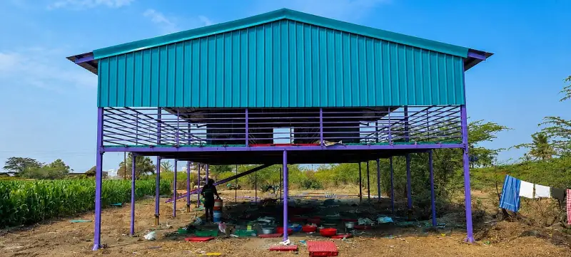 Teal elevated goat shed on purple steel stilts with open flooring below