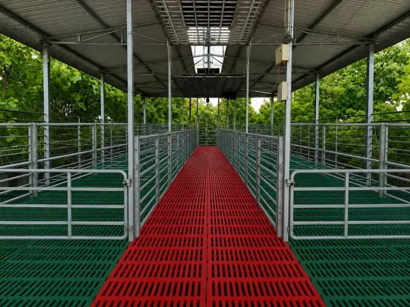 Slatted plastic flooring walkway inside an animal shed with red aisle and green pens