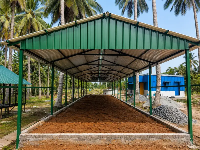 Deep-litter poultry shed with soil flooring amid coconut trees